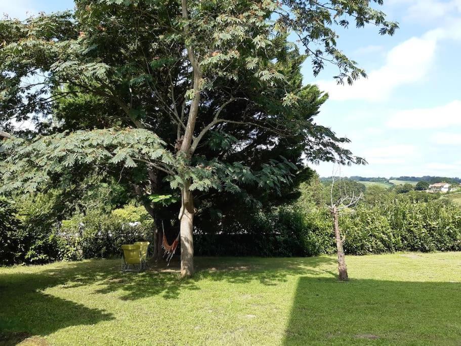 Logement Calme Et Authentique A Espelette Esterno foto